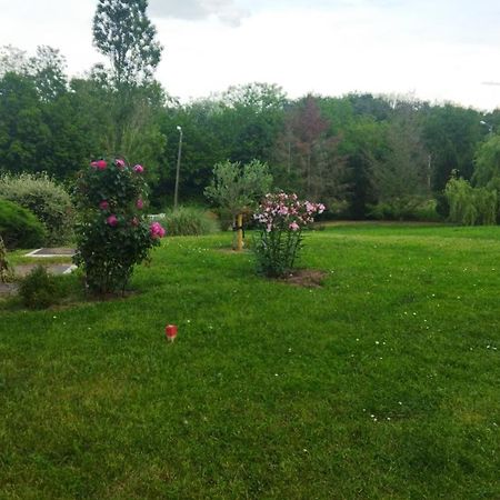 Chambre Avec Entree Independante Dans Un Ecrin De Verdure Dommartin  Exteriér fotografie